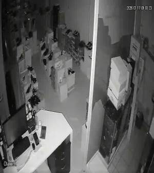 Caméra IP - Türkiye