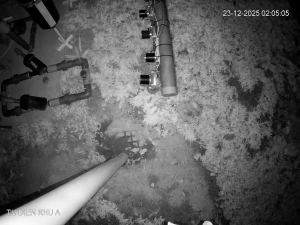 Caméra IP - Vietnam