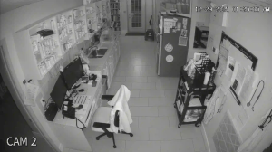 Caméra IP - United States of America