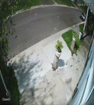 Caméra IP - Argentina