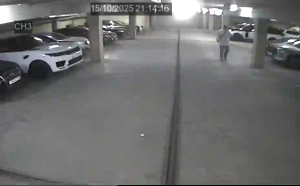 Caméra IP - Russian Federation