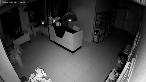 Caméra IP - Russian Federation