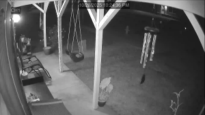 Caméra IP - United States of America