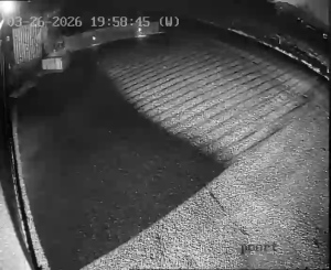 Caméra IP - Pays-Bas