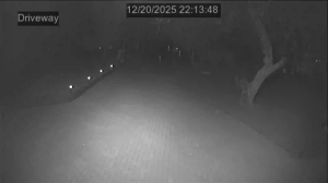 Caméra IP - Südafrika