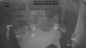 Caméra IP - Estados Unidos