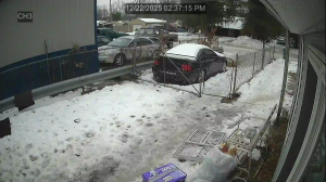 Caméra IP - Estados Unidos