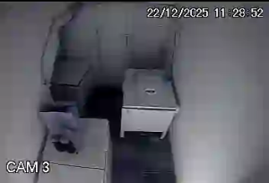 Caméra IP - Brasilien