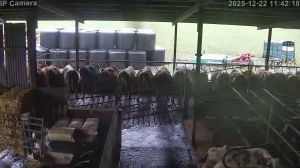 Caméra IP - Irlanda