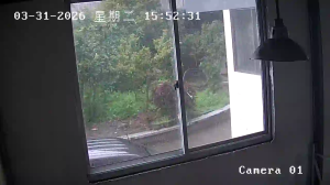 Caméra IP - People's Republic of China