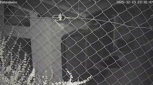 Caméra IP - Deutschland