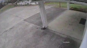 Caméra IP - United States of America