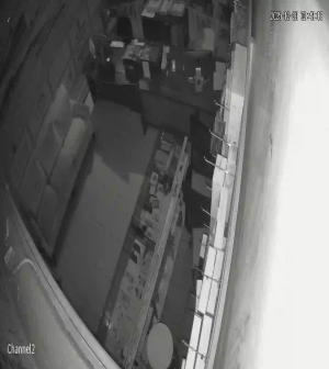 Caméra IP - Arabia Saudita