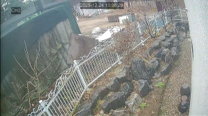 Caméra IP - Südkorea