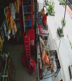 Caméra IP - Bolivien