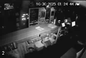 Caméra IP - Stati Uniti d'America