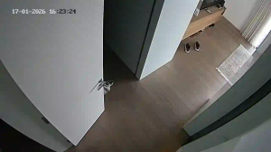 Caméra IP - Lebanon