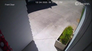 Caméra IP - Neuseeland