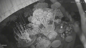 Caméra IP - Vietnam