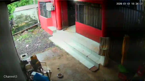 Caméra IP - Paraguay