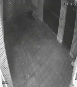 Caméra IP - Islamic Republic of Iran