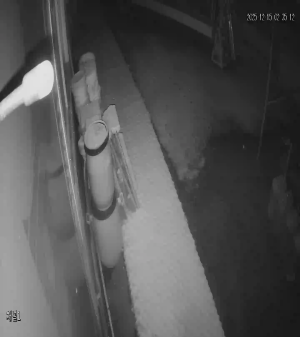 Caméra IP - South Korea