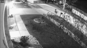 Caméra IP - United States of America