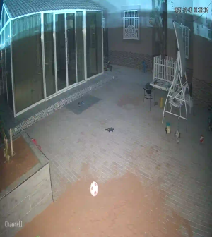 Caméra IP - Émirats Arabes Unis