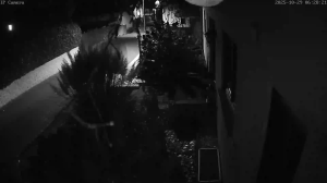 Caméra IP - Hong Kong