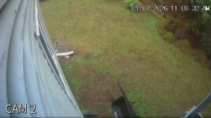 Caméra IP - États-Unis d'Amérique