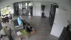 Caméra IP - Países Bajos