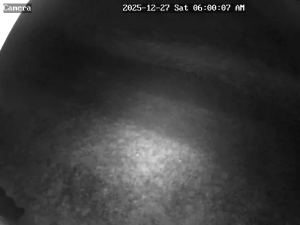 Caméra IP - Denmark