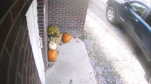 Caméra IP - United States of America