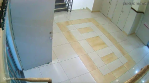 Caméra IP - Malasia