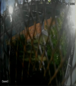 Caméra IP - Afrique du Sud