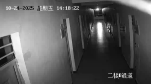 Caméra IP - China
