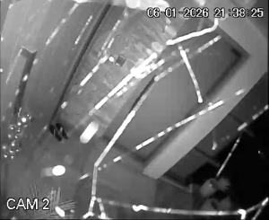 Caméra IP - Australien