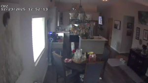 Caméra IP - Estados Unidos