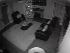 Caméra IP - United States of America