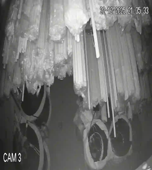 Caméra IP - Vietnam