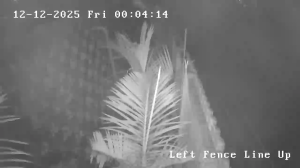 Caméra IP - Sudáfrica