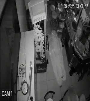 Caméra IP - 스페인