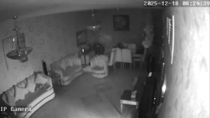 Caméra IP - Émirats Arabes Unis