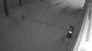 Caméra IP - Russische Föderation