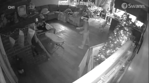 Caméra IP - Vereinigte Staaten von Amerika