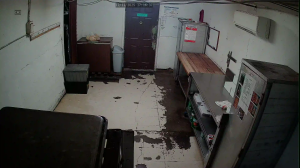 Caméra IP - Vereinigte Staaten von Amerika