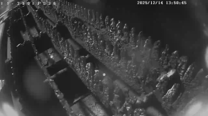 Caméra IP - Bulgaria