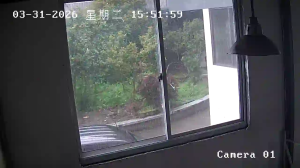 Caméra IP - People's Republic of China