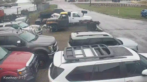 Caméra IP - Vereinigte Staaten von Amerika