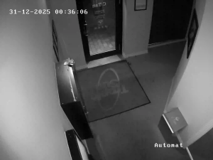 Caméra IP - Denmark